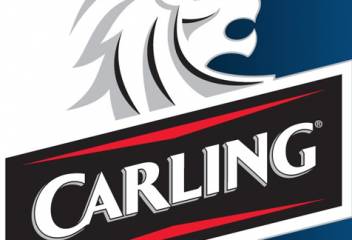 CARLING UK CANS 50cl