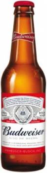 Budweiser 5% 24x33cl bottles (30/04/25)